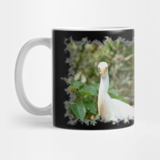 Cattle Egret Mug